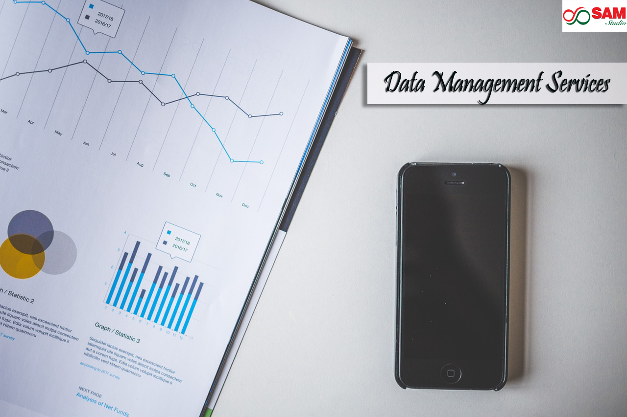 Data Management Service Provider