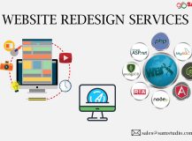 Website Redesigning Services with Shopping Cart Development for Online E-commerce Business